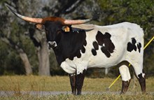 RJF STRAWBERRY WINE 324