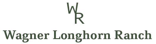 Wagner Longhorn Ranch Logo